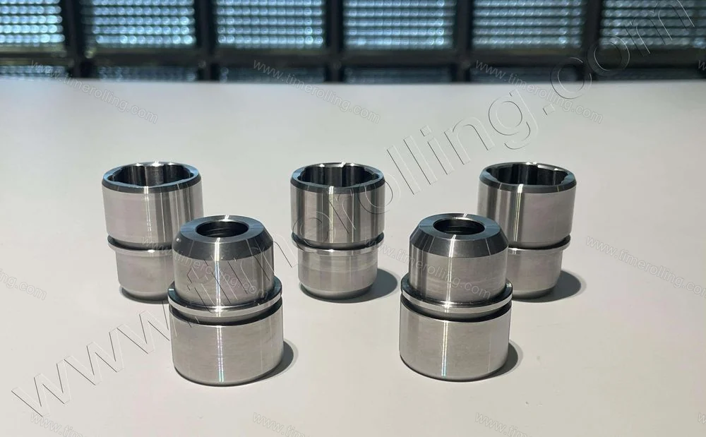 Phụ tùng thay thế bơm định lượng LEWA 21